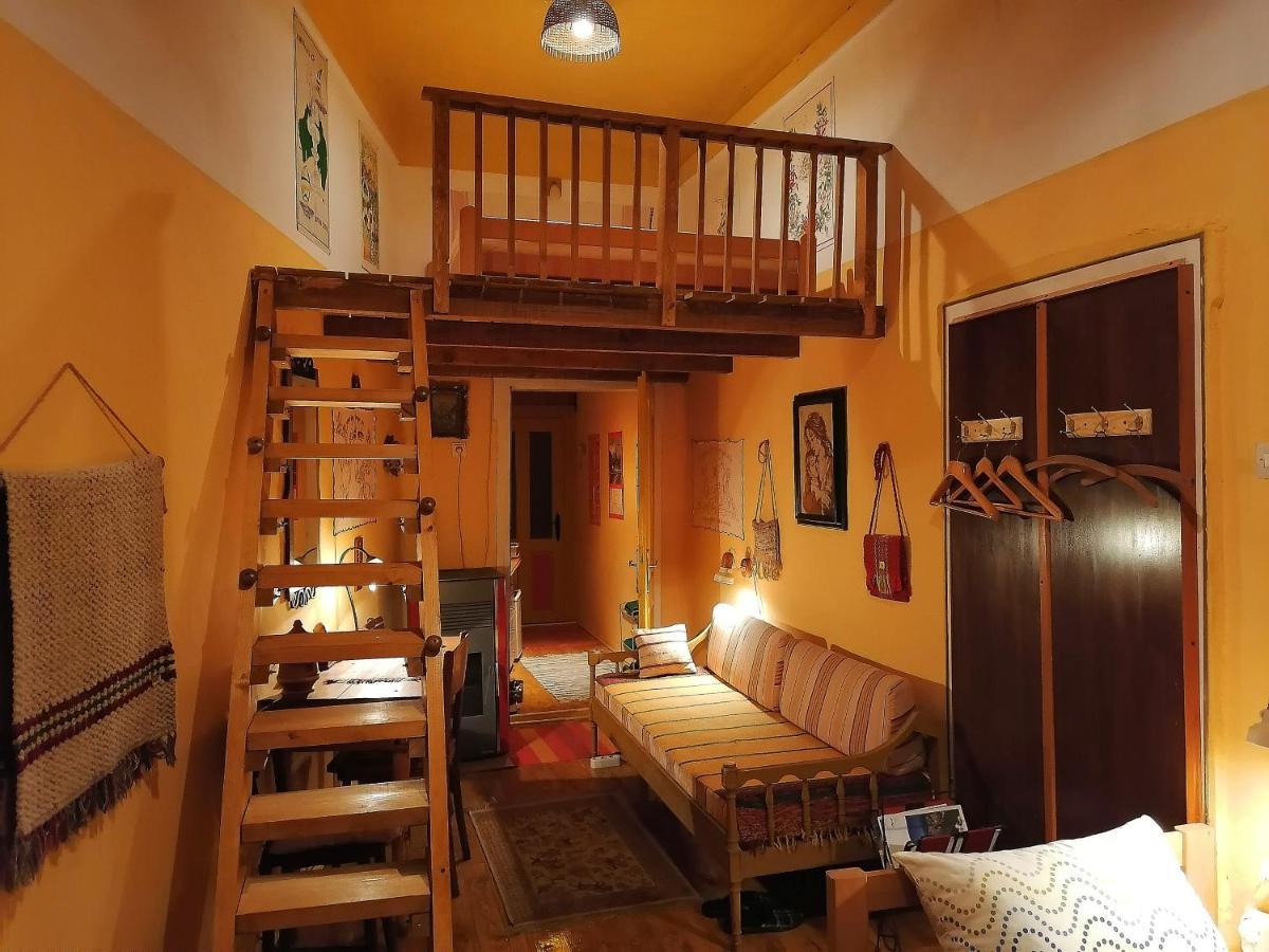 Base For Adventurers - Urban Guerrilla Otel Negotin Dış mekan fotoğraf